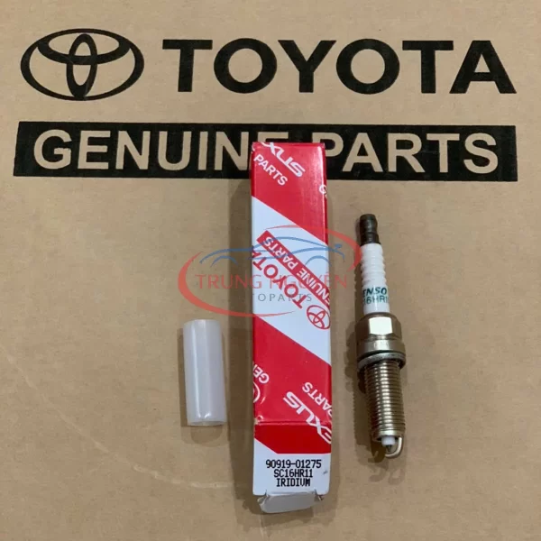 90919 - 01275 Buri Bạch Kim Vios 2017-2024