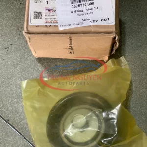 252872C000 - Bạc Đạn Đỡ Curoa Hyundai Starex