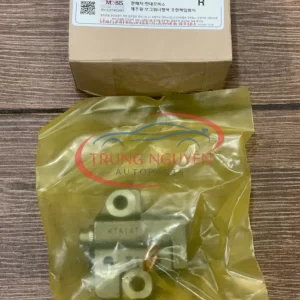 24410-25001- Tensioner Assembly-Timing Chain Hyundai